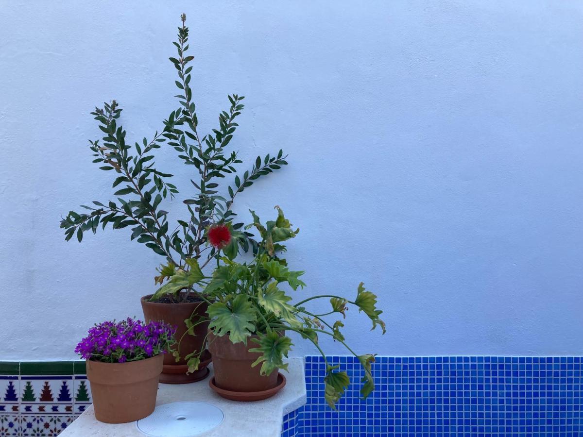 Casa Clemente 32, Private House With Plunge Pool Apartment Malaga Ngoại thất bức ảnh