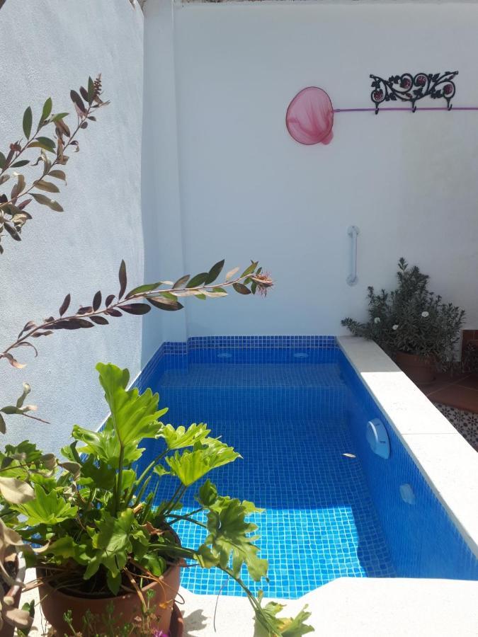 Casa Clemente 32, Private House With Plunge Pool Apartment Malaga Ngoại thất bức ảnh