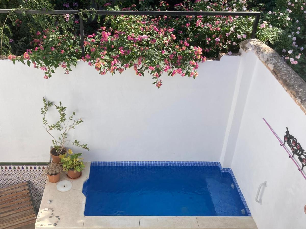 Casa Clemente 32, Private House With Plunge Pool Apartment Malaga Ngoại thất bức ảnh