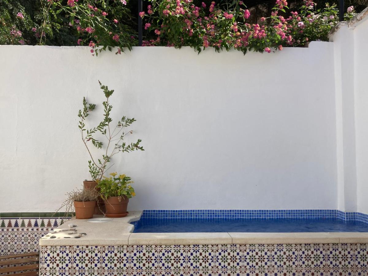 Casa Clemente 32, Private House With Plunge Pool Apartment Malaga Ngoại thất bức ảnh